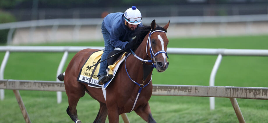 Belmont Stakes Picks 2024: Vegas Odds and Predictions After Post Map