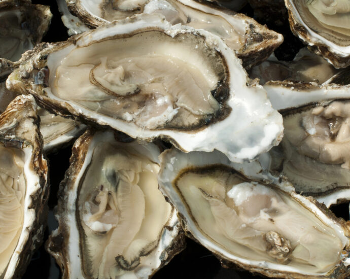 Native climate change is coming to your oysters