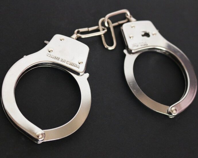 24 held in Southern Division for diverse offences