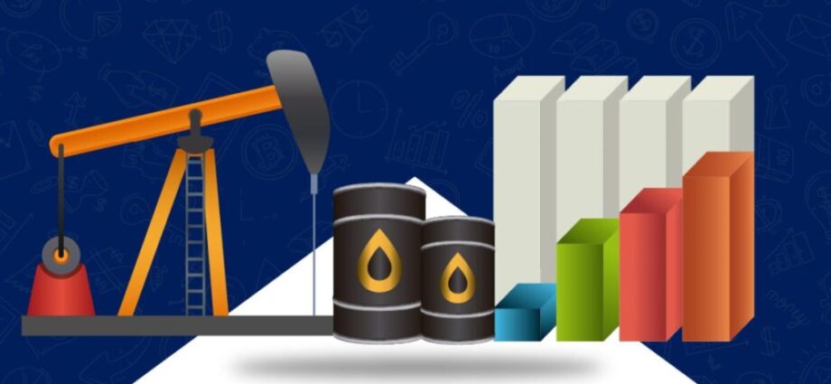 THEWILL EDITORIAL: In actuality acceptable Spend of Windfall Tax