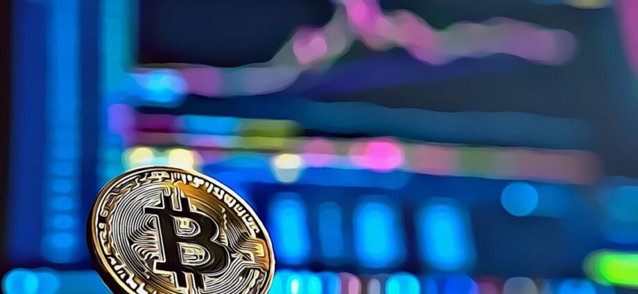Bitcoin Faces Vital Drawdown Amid Market Promote-Off And Whale Accumulation