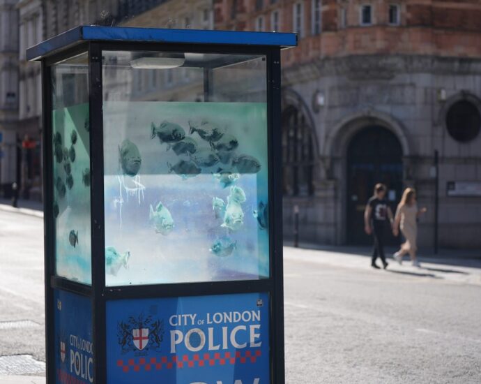 Banksy’s Piranha police field moved for its own safety