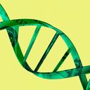 UN talks aim to turn DNA data into resources