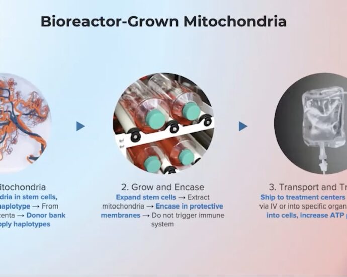 Mitrix Bio Leveraging Mitochondria Transfer for Antiaging