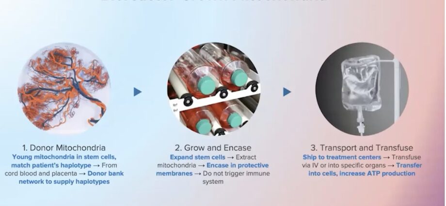 Mitrix Bio Leveraging Mitochondria Transfer for Antiaging