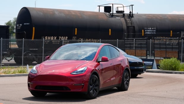 Tesla self-riding autos not willing for big rollout, critics explain