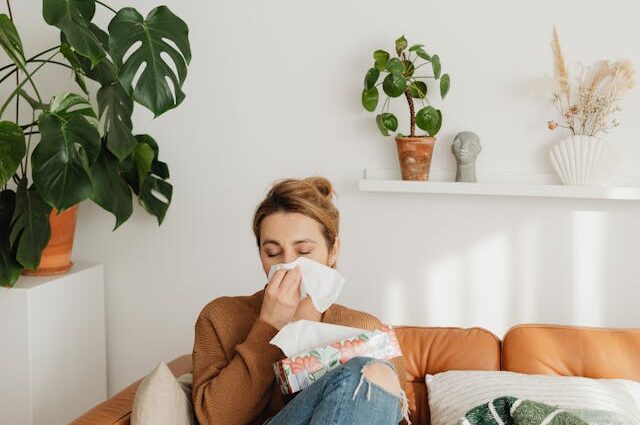 Overall Allergies That Can Invent You Depressing Without Therapy