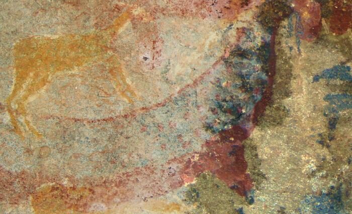 South African Rock Art Looks to Procedure Upon Extinct Creatures