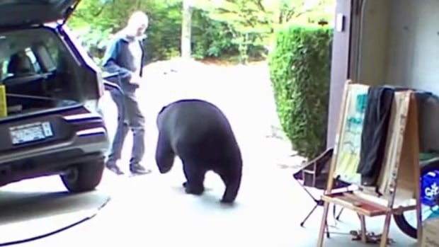Fetch charges at B.C. man in his beget storage