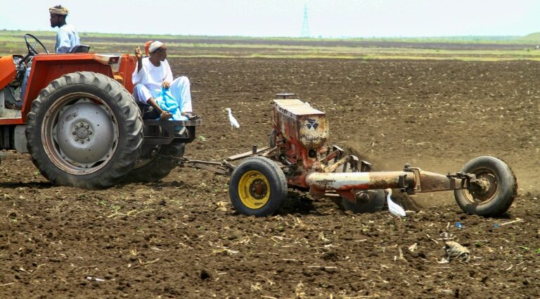 Battle decimates harvest in famine-threatened Sudan