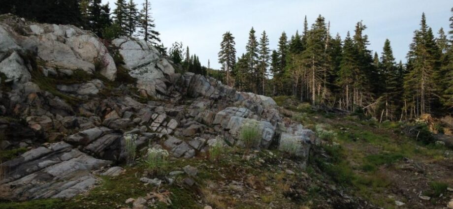 Goldhaven Sources shopping Copper Prime Metals and properties, British Columbia