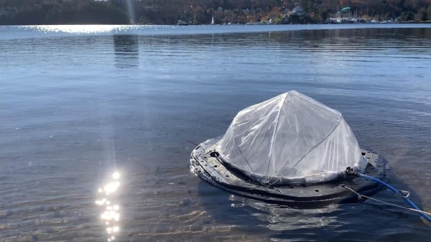 This dome-fashioned instrument floating in Halifax Harbour isn’t a buoy