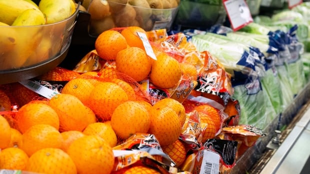 Researchers diagnose 27 cases of scurvy in northern Sask. neighborhood