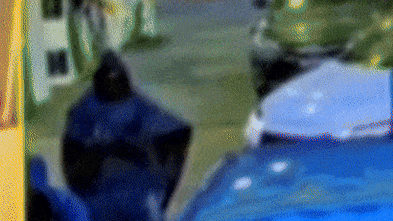 Brazen Surry Hills underworld killing caught on CCTV
