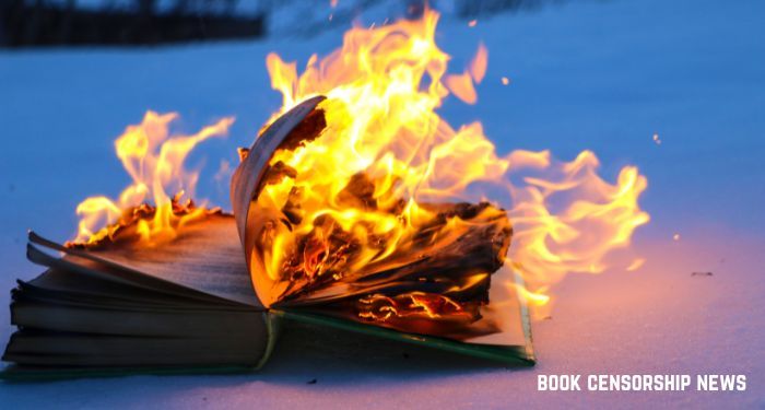 Censorship Inclinations For 2025, Part I: E-book Censorship News, December 6, 2024