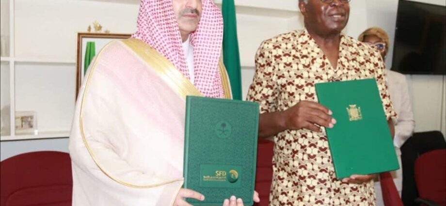 Zambia, Saudi Arabia label debt restructuring deal