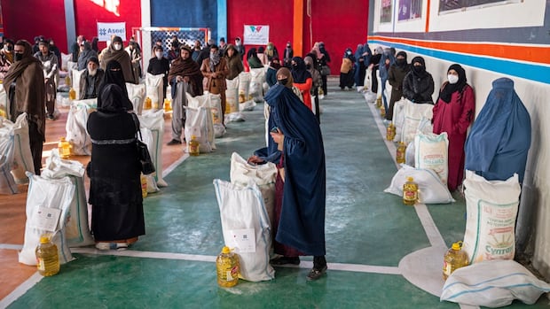 Taliban to shut all NGOs utilizing Afghan ladies