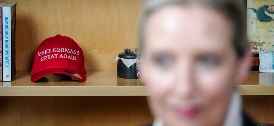 Elon Musk’s aid for AfD makes waves in Germany