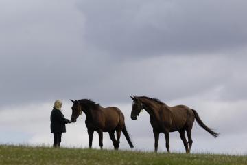 Wantage lady recognised for work with conventional racehorses