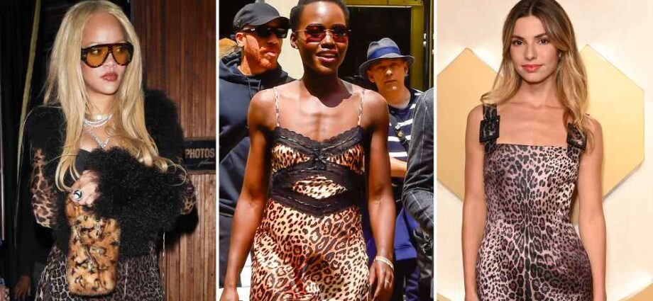Survey How Stars Type the Cheetah Print Pattern: Rihanna, Extra