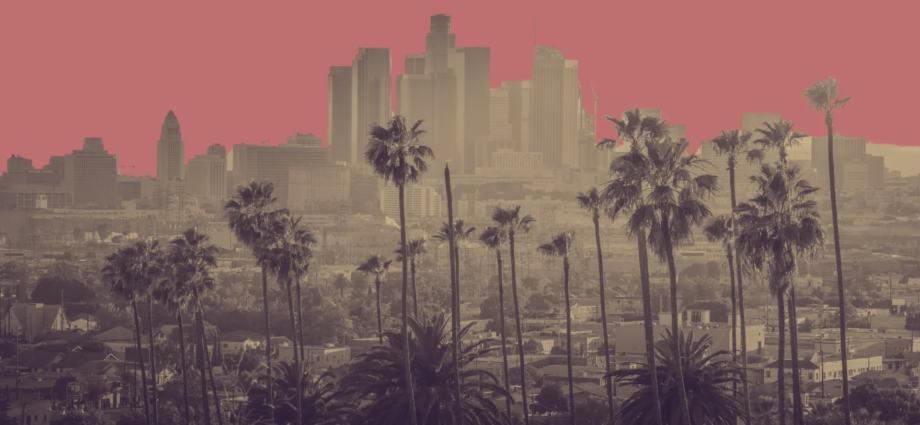 Angelenos Fight to Receive Housing Amid L.A. Wildfires