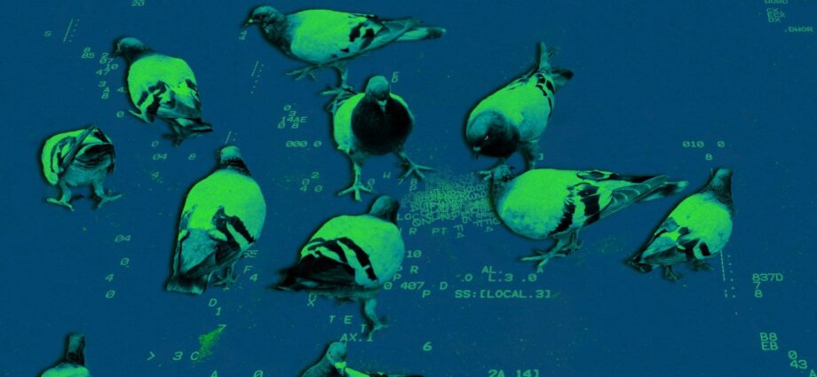 The second wave of AI coding is right here