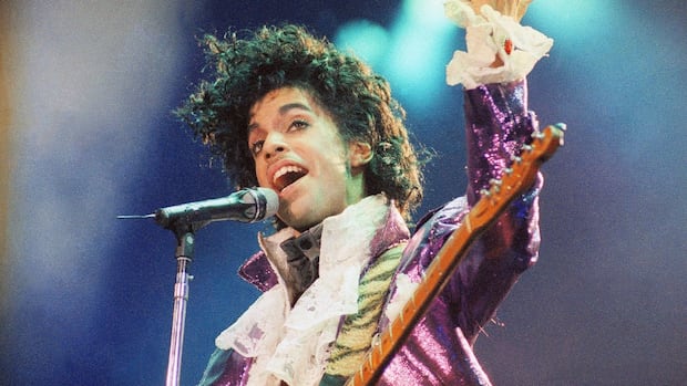 Controversial Prince documentary cancelled over property dispute