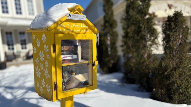 White nationalist books planted in diminutive free libraries across Ottawa