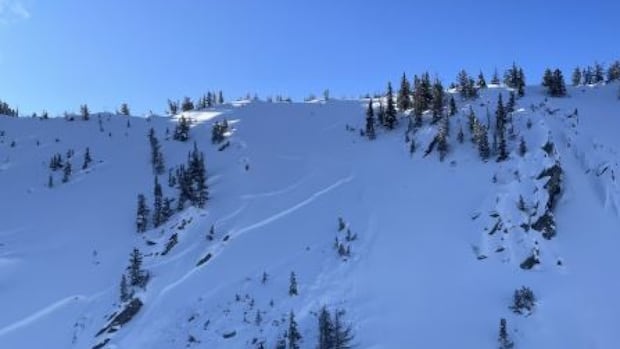 Skier dies in avalanche draw Golden, B.C.