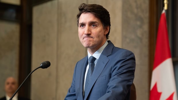 Trudeau gets smiles with stern speech to President ‘Donald’