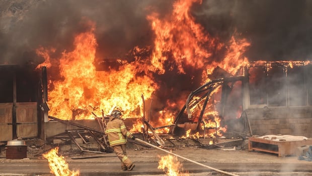 IN PHOTOS | South Korea’s spreading wildfires