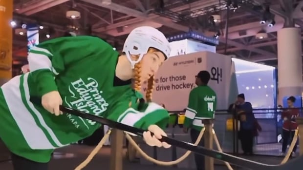 >-pei.’s-bill-for-high-profile-at-nhl’s-4-nations-face-off-topped-$500,000,-legislature-hears
