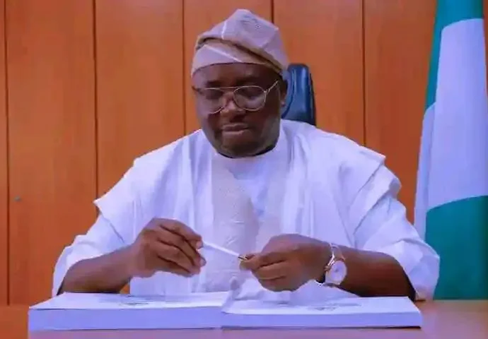 Tariff Reforms Slashed Subsidy By N1.1trn – Adelabu