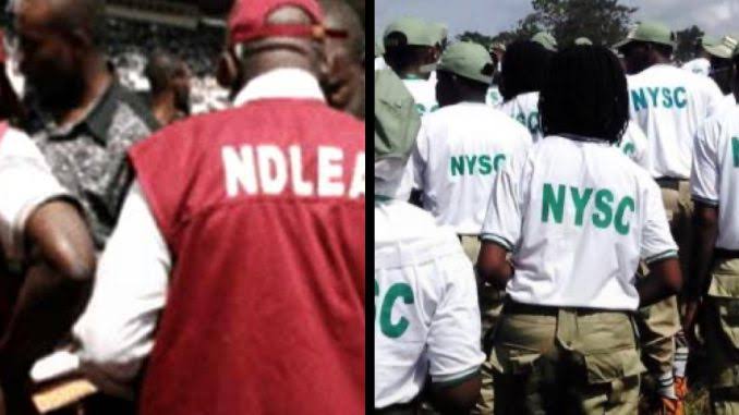 NDLEA Calls for Wanted Drug Attempting out for NYSC People