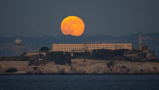 Trump says he’ll reopen contaminated Alcatraz penitentiary for ‘vicious’ criminals