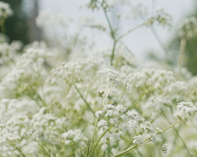 Your allergic reactions are about to receive worse