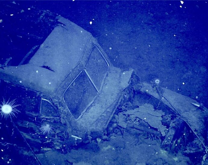 Forties Ford automotive stumbled on on wartime US provider ruin