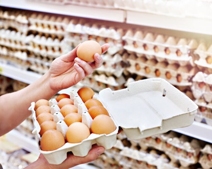 FSANZ proposes stricter egg security principles to forestall Salmonella outbreak