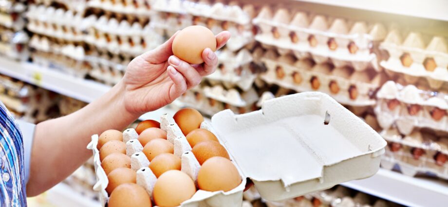 FSANZ proposes stricter egg security principles to forestall Salmonella outbreak