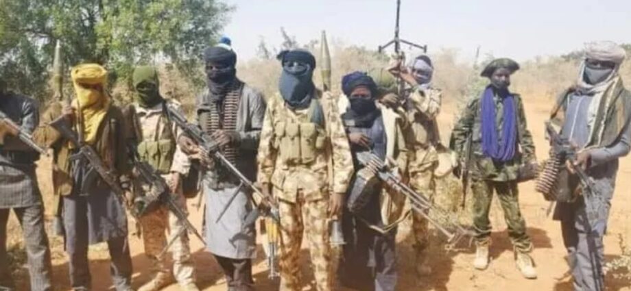 THEWILL EDITORIAL: Wanted: Total War In opposition to Insurgency