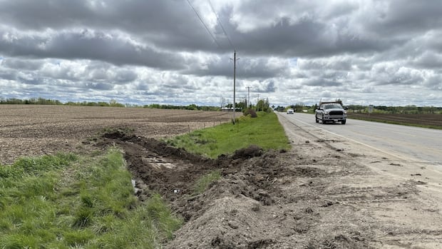 4 teenagers, man killed in multi-automobile crash cease to London, Ont.