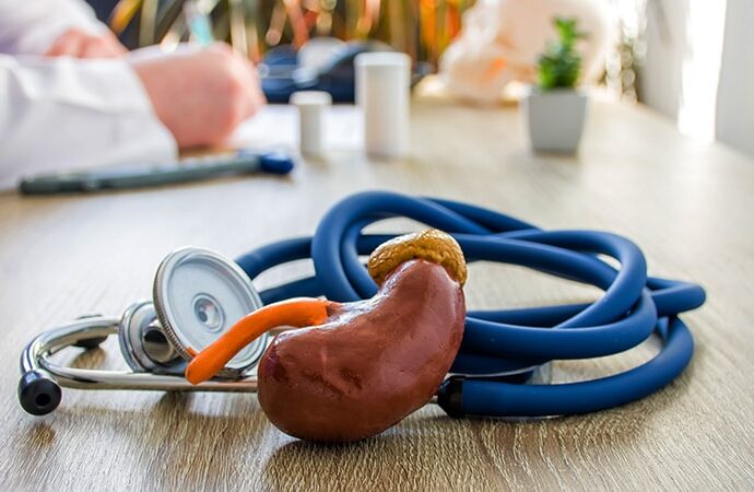 Sibeprenlimab Halves uPCR in IgA Nephropathy Trial