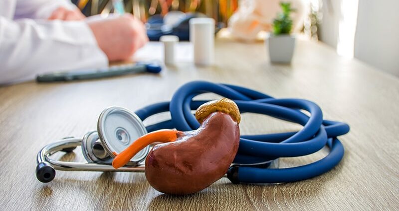 Sibeprenlimab Halves uPCR in IgA Nephropathy Trial