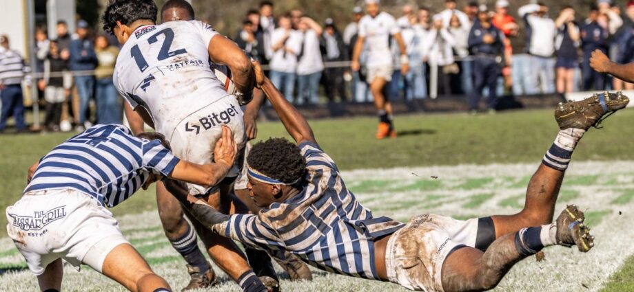 Schoolboy rugby: ALL the First XV weekend results