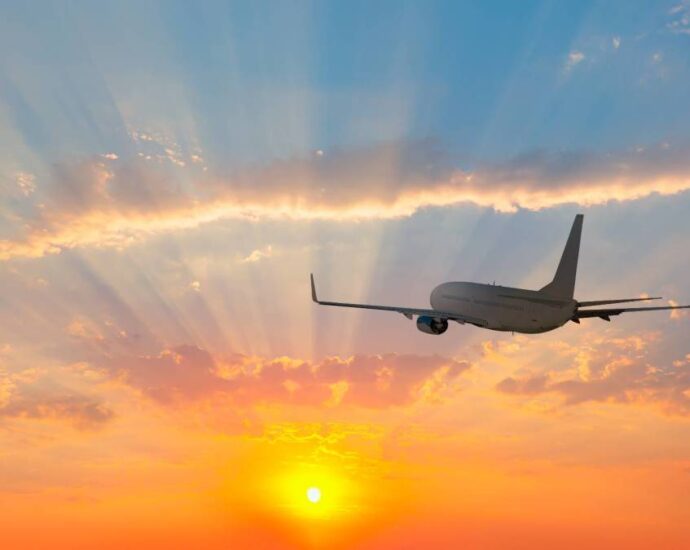 Neatly-liked airline faces boycott, backlash over controversial arena