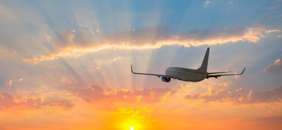 Neatly-liked airline faces boycott, backlash over controversial arena