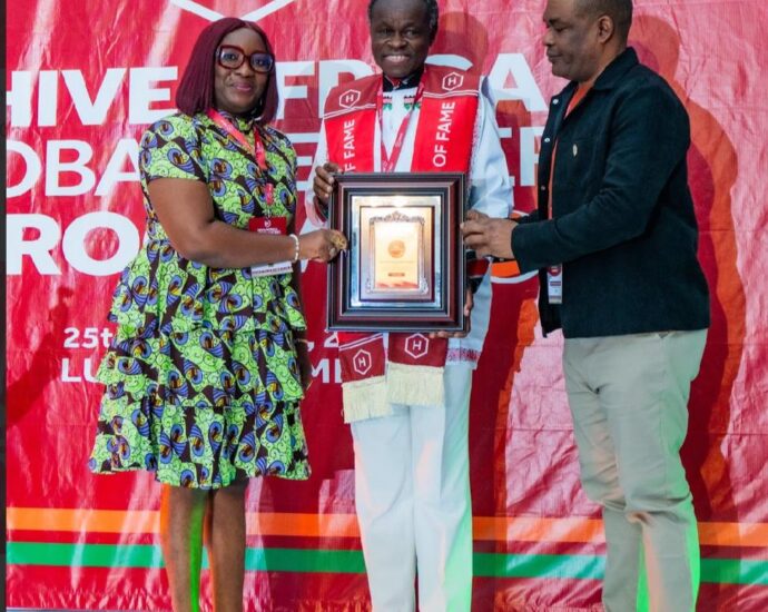 2025 Hive Africa Summit: Nigeria, 20 others make waves in Lusaka