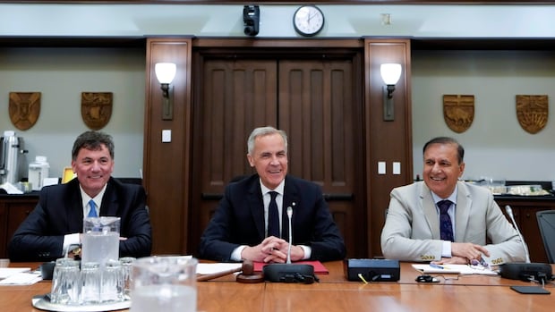 Too many suggestions? Carney orders review of all authorities guidelines
