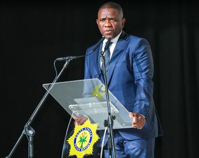 Police portfolio chair requires probe into Nhlanhla Mkhwanazi’s claims