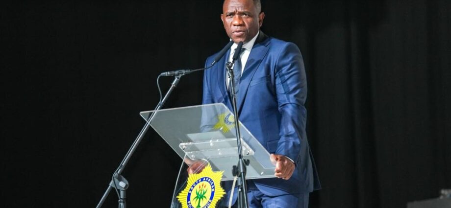 Police portfolio chair requires probe into Nhlanhla Mkhwanazi’s claims